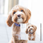 Load image into Gallery viewer, Custom Paint by Numbers