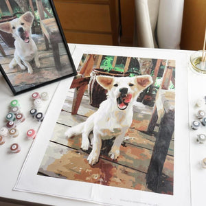 How Does Custom Paint by Numbers Help Adults De-Stress?