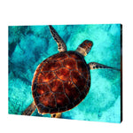 Load image into Gallery viewer, Swimming Sea Turtle Paint By Numbers
